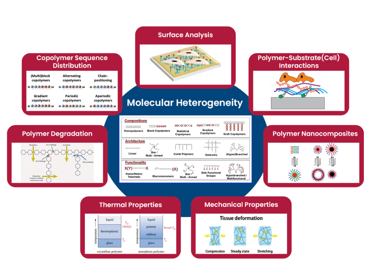 Schaubild_PLP_Molecular_Heterogeneity