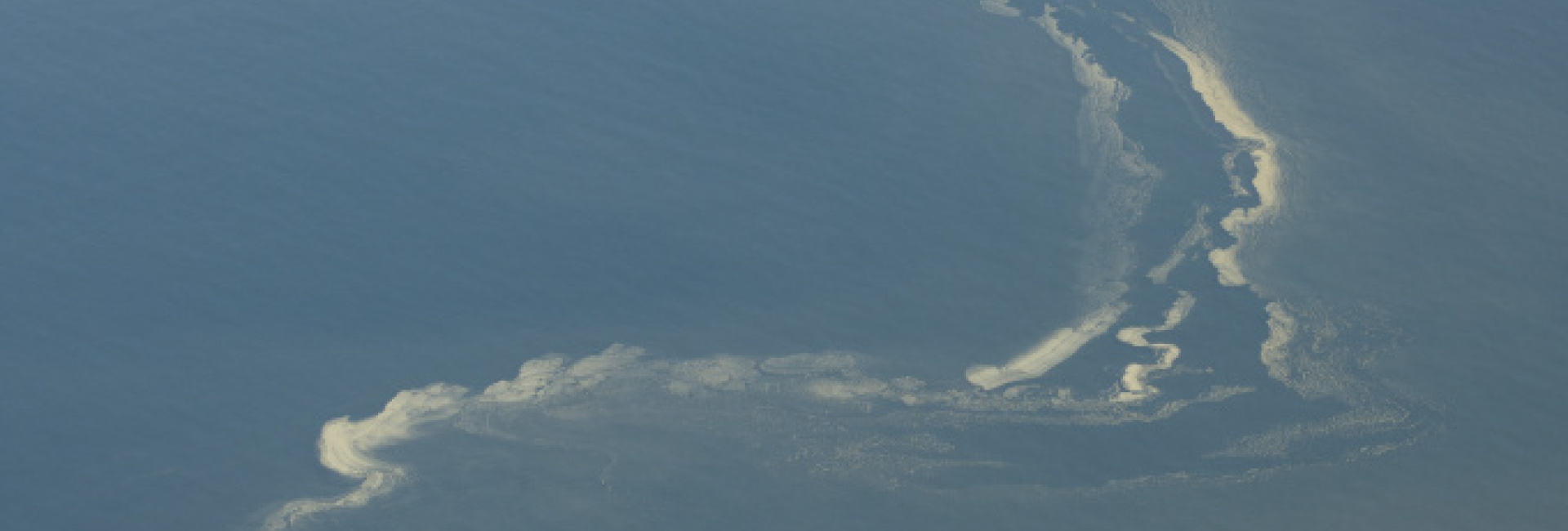 Phytoplankton, sichtbar aus einem Flugzeug