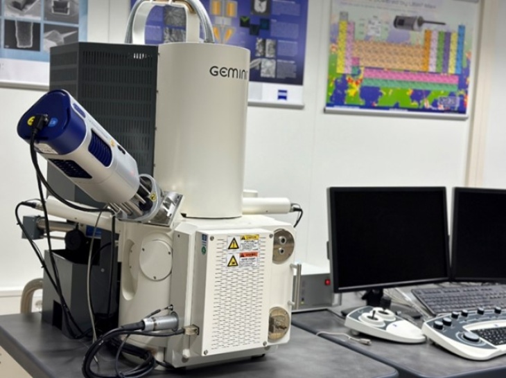 WGD_SEM_klein