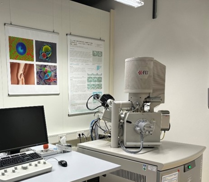 WGD_ESEM_klein