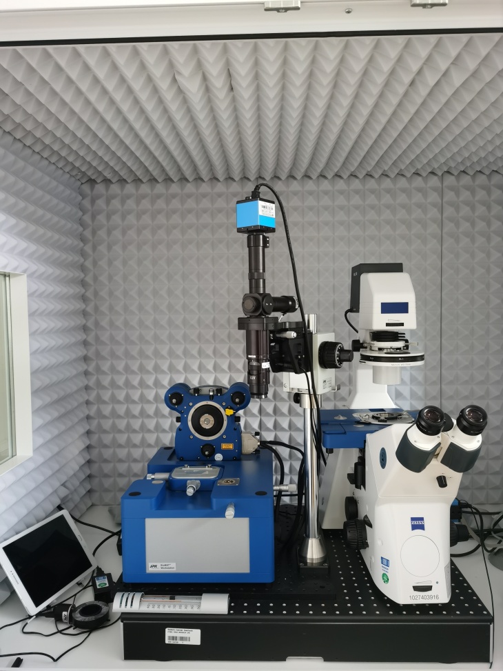 WGD_AFM_Bio