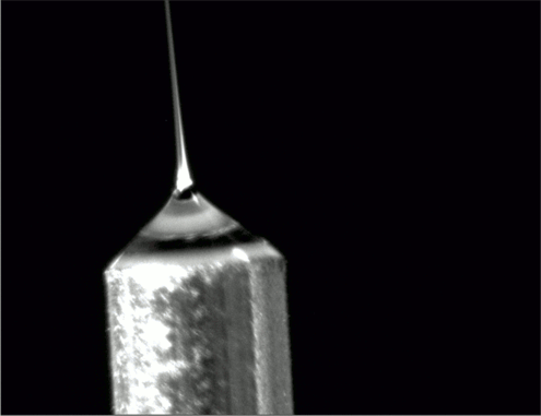 Animated electrospun fibers (small)