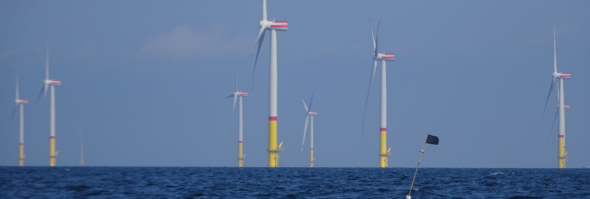 Windräder auf der Ostsee. Bild: Hereon/ Marcus Reckermann