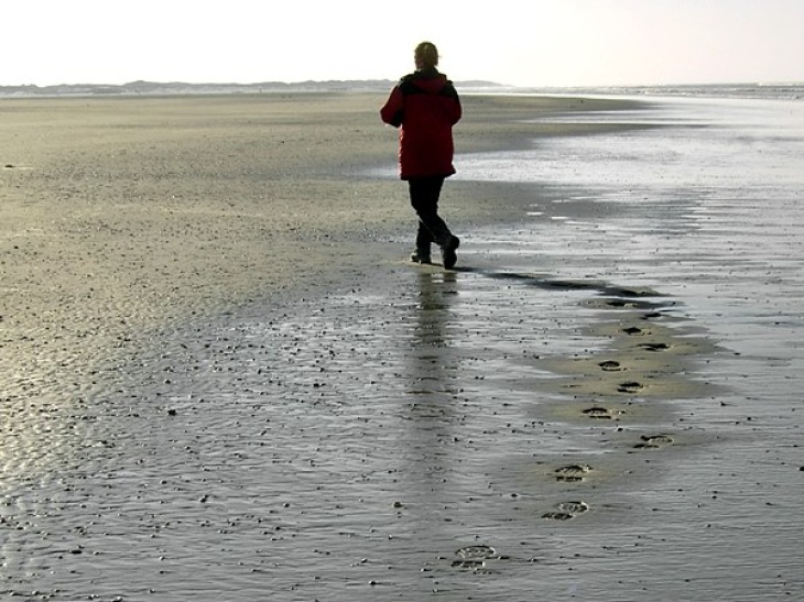 Human footprints in the Wadden Sea