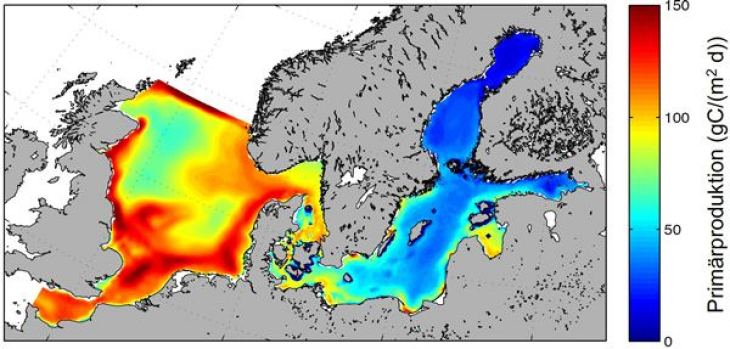 Simulierte mittlere (60 Jahre) Phytoplanktonproduktion in Nordsee und Ostsee aus dem gekoppelten Ökosystemmodell ECOSMO.