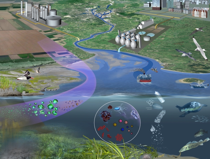 Schematic of polluted coastal sea