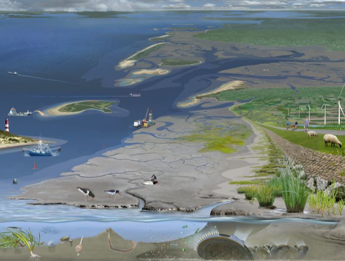 Schaubild des Wattenmeers