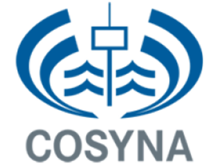COSYNA Logo
