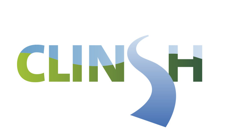 Logo Clinsh