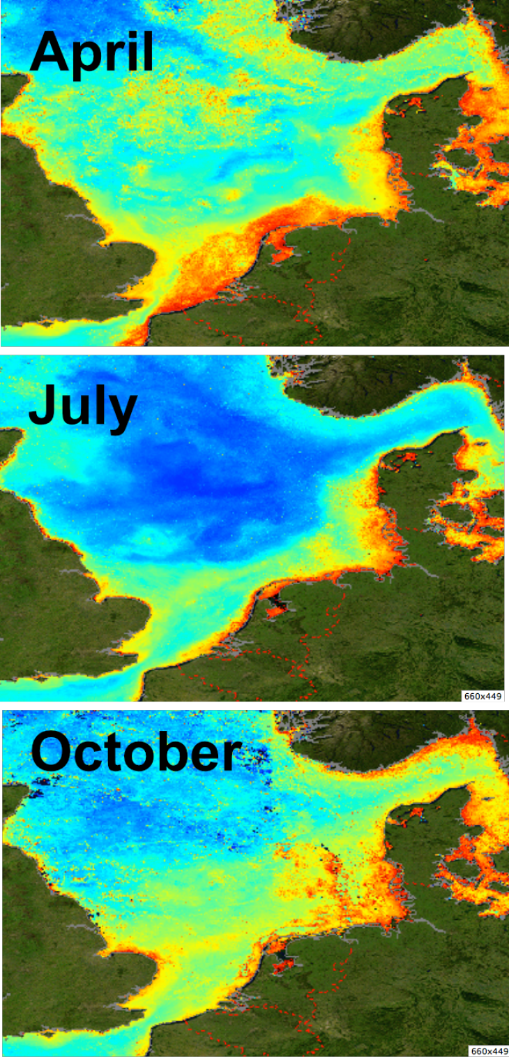 COSYNA product: Monthly mean chlorophyll concentrations (2017). After the first algal bloom in April chlorophyll concentrations decrease in Julydue to lack of nutrients. In October the concentrations increase again (fall bloom). -image: data from COSYNA data portal / Hereon-