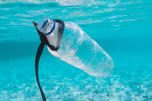 plastic bottle swimming in the ocean/ photo: Brian Yurasits via Unsplash