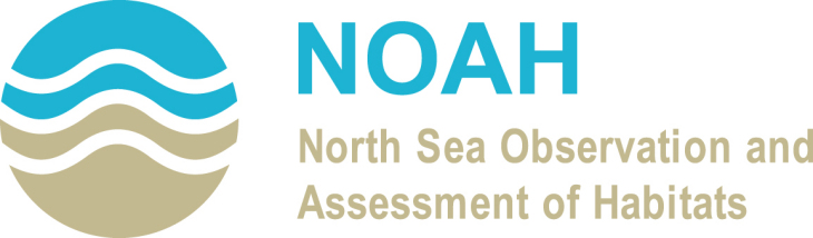 NOAH Logo
