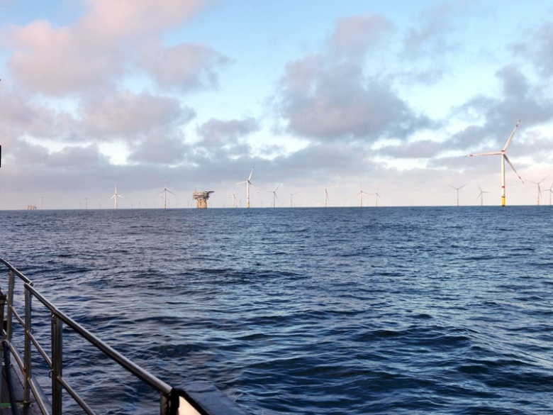 Blick vom Schiff auf einen Offshore Windpark