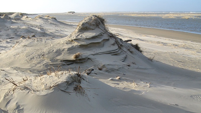 /imperia/md/images/hzg/institut_fuer_kuestenforschung/sedimenttransport_und_morphodynamik/header_frings_img_2628.jpg