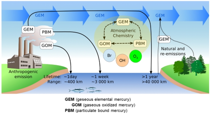 Gmos-train