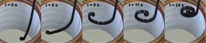 In 5 Bildern zieht sich die temporär fixierte Form (das Stäbchen) in die ursprüngliche Form (die Spirale) im Magnetfeld eines Ringinduktors zurück. 