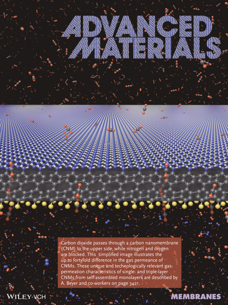 Cover Page Advanced Materials 2014 Min Ai, Sergey Shishatskiy