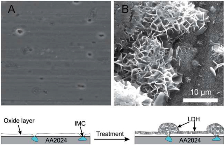 SEM images of the bare AA2024 SEM images of the bare AA2024