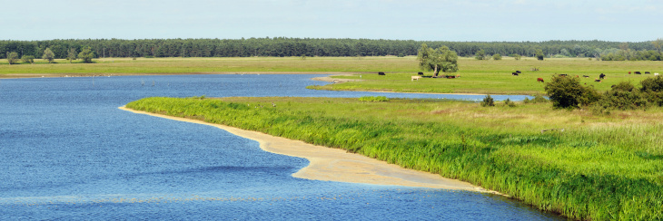 The river Elbe