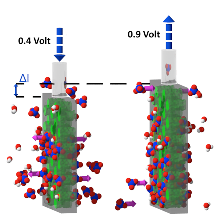 Silizium (grau) mit in Nanoporen eingebetteten Muskelpolymeren (grün) zeigt als Funktion kleiner elektrischer Spannungen in wässriger Umgebung reversible Ausdehnung und Kontraktion.