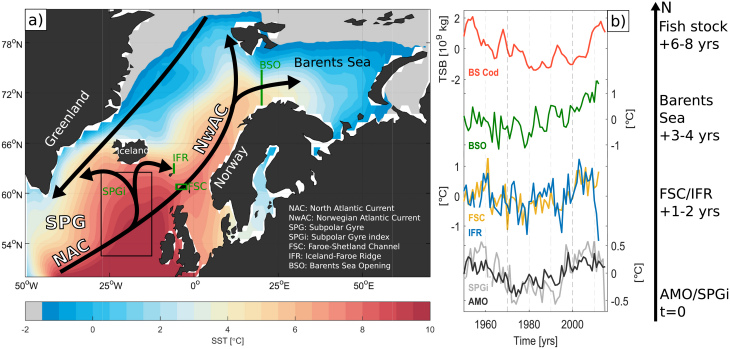 darstellung Meeresoberflächentemperatur und Zeitreihen von beobachteten Kabeljaubeständen der Barentssee  