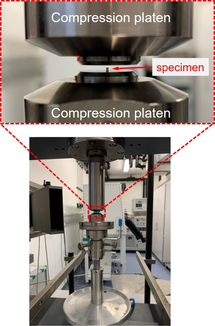 Mit der Prüfmaschine untersuchten die Wissenschaftler die mechanischen Eigenschaften der millimetergroßen Proben. 