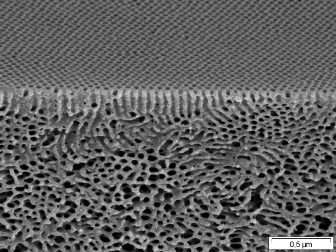 Selbstorganisierende isoporöse Blockcopolymer-Membrane