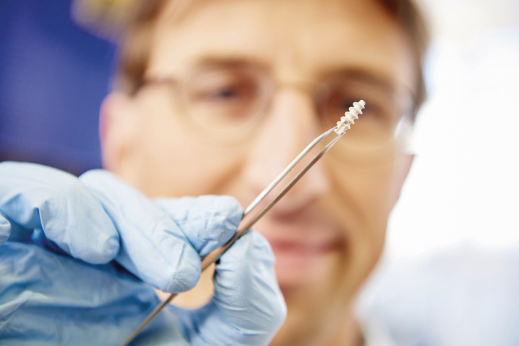 This magnesium bone screw is biodegradable, rendering a second operation for removing the imolant unnecessary. AI helps in understanding the different contexts. Photo: Hereon/Christian Schmid magnesium bone screw