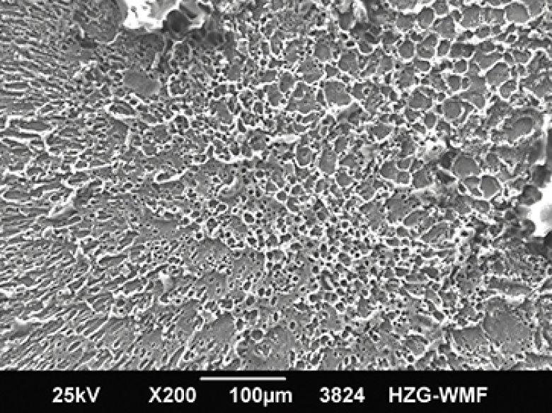 The melted material surface can be seen on which the plasma is produced. Photo: Zina Kallien et al.